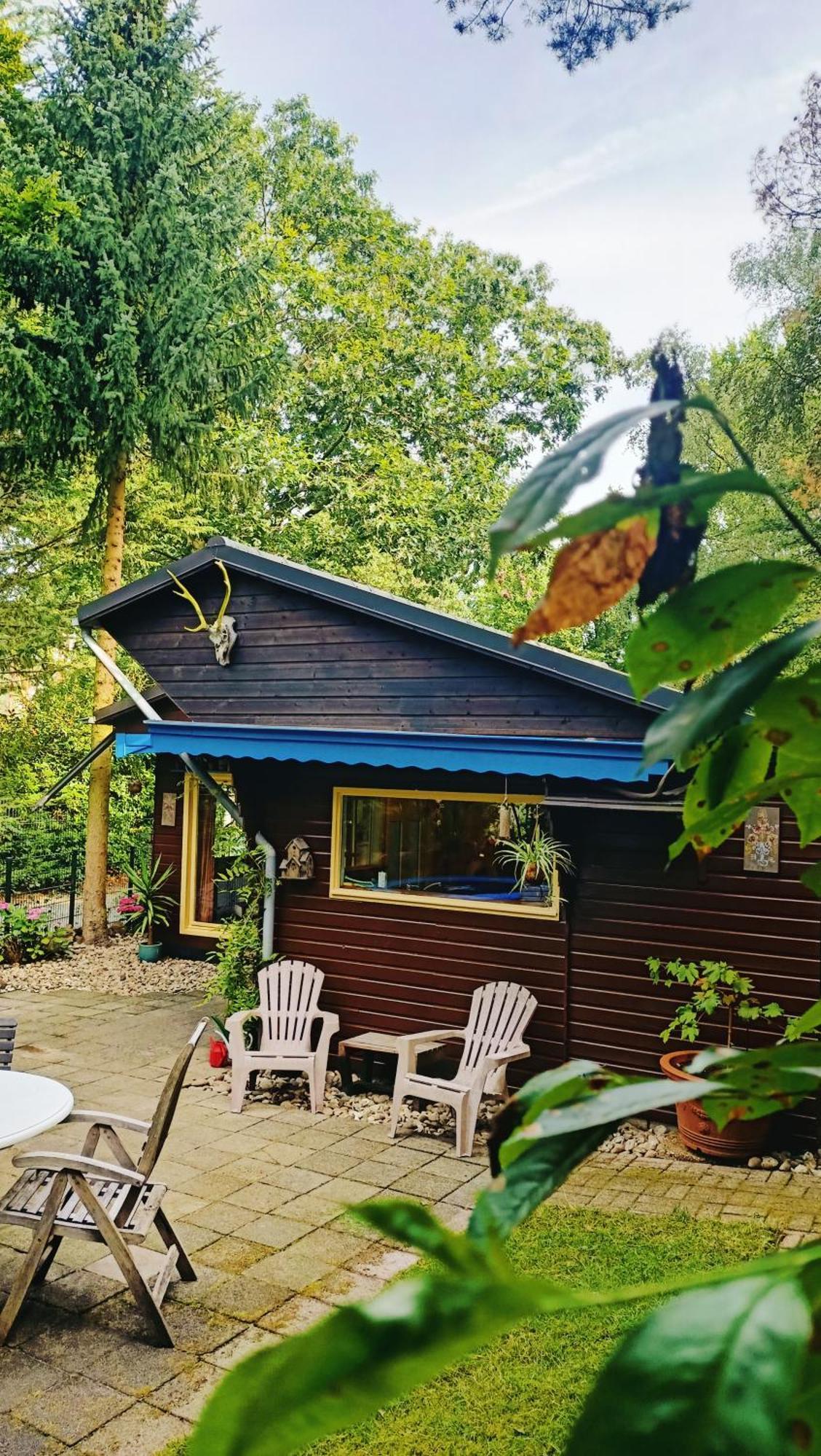 Het Houten Boshuisje Hattemerbroek 外观 照片