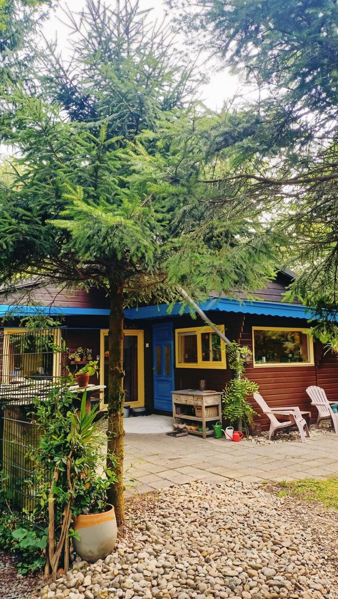 Het Houten Boshuisje Hattemerbroek 外观 照片