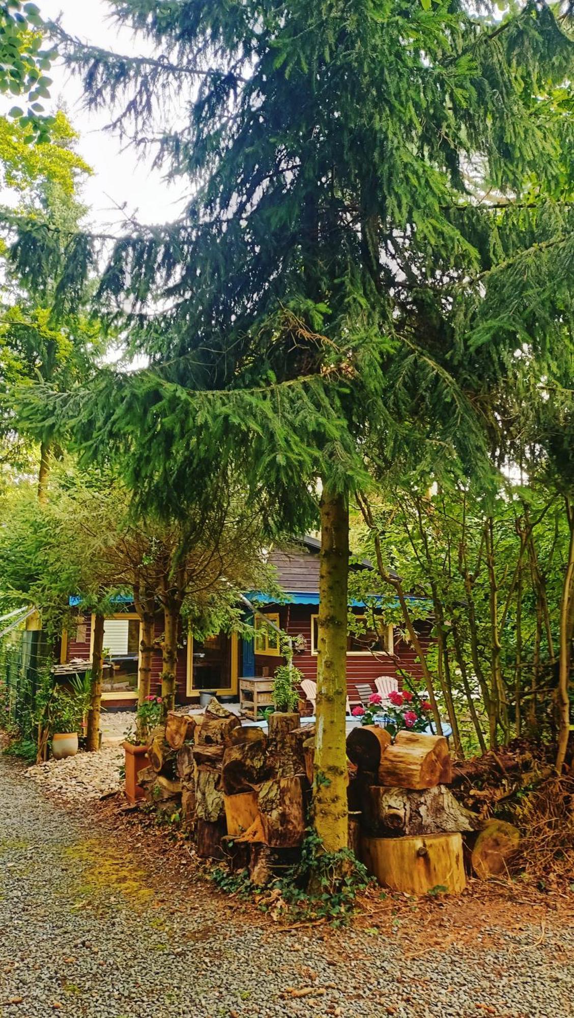 Het Houten Boshuisje Hattemerbroek 外观 照片