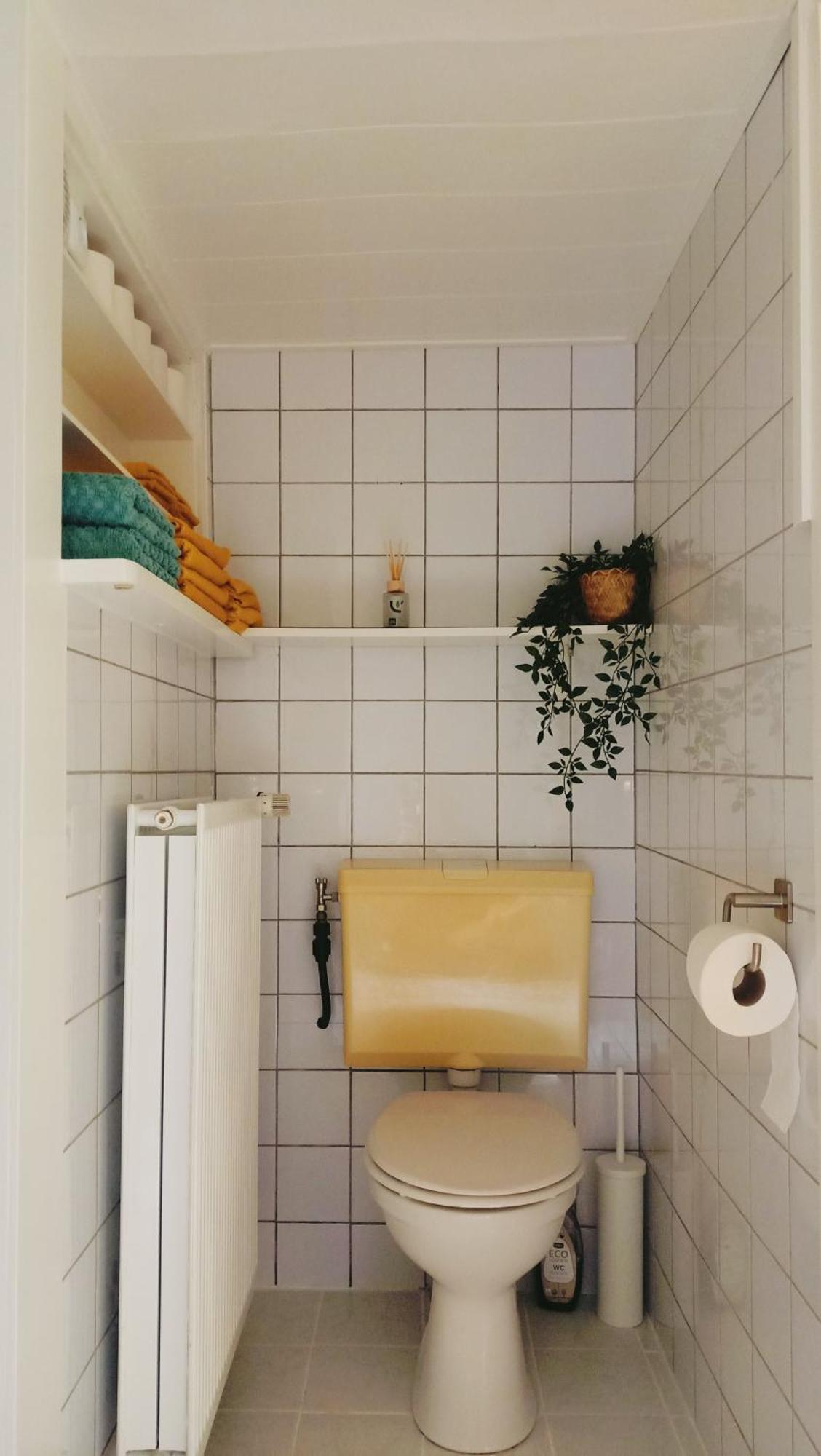 Het Houten Boshuisje Hattemerbroek 外观 照片